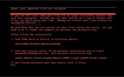 Petya Ransomware Immunization